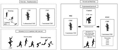 Temporal response of post-activation performance enhancement induced by a plyometric conditioning activity